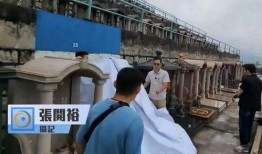 南阳二胶厂爆料视频曝光,南阳二胶厂爆料视频揭露惊人内幕